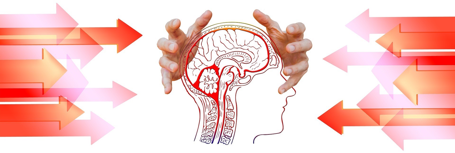 Billedet illustrerer stressterapi til en hjerne, som har mistet forbindelsen til sin personlige biologi, og hvordan det moderne stresser vores natur. 